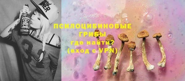 трава Надым