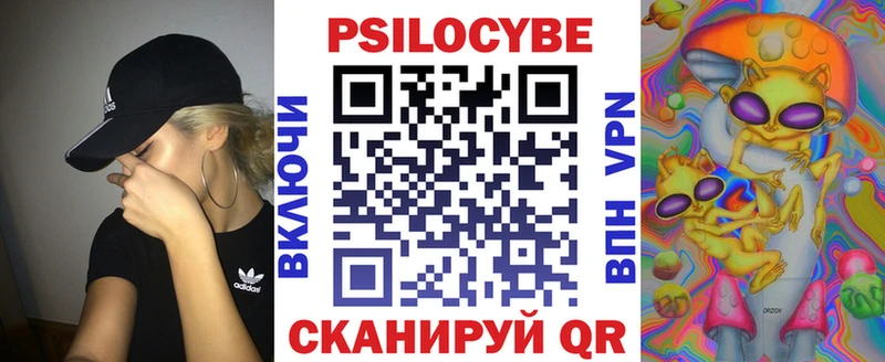 Псилоцибиновые грибы Psilocybe  Великий Новгород 