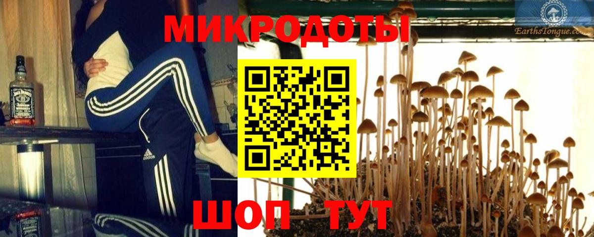 Галлюциногенные грибы мухоморы Великий Новгород
