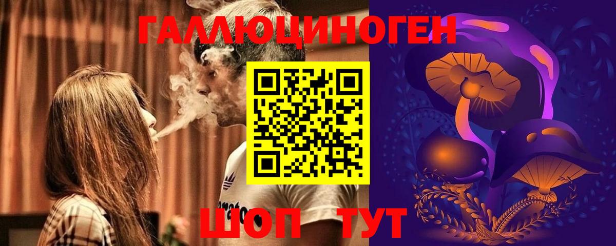 Великий Новгород  Галлюциногенные грибы Psilocybine cubensis  Вход с VPN  Галлюциногенные грибы Psilocybe 