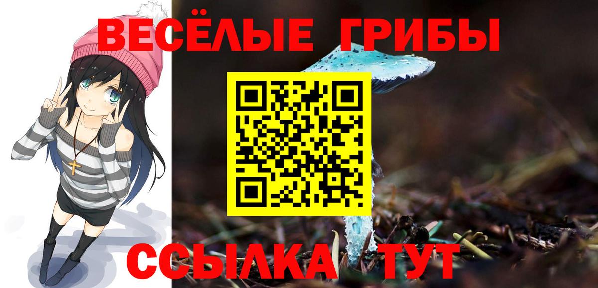 Псилоцибиновые грибы MAGIC MUSHROOMS Великий Новгород