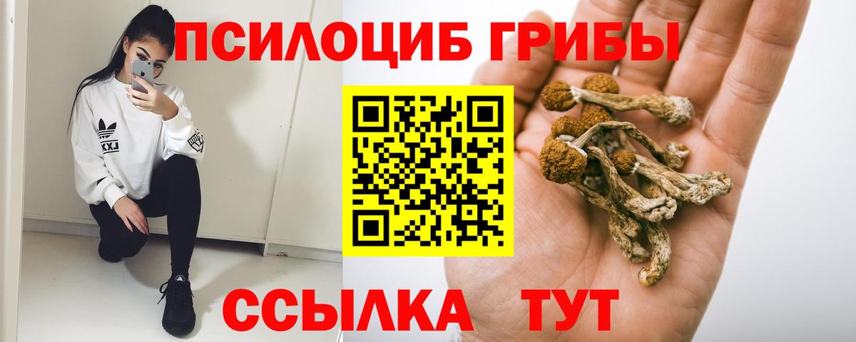 Псилоцибиновые грибы Cubensis  Великий Новгород 