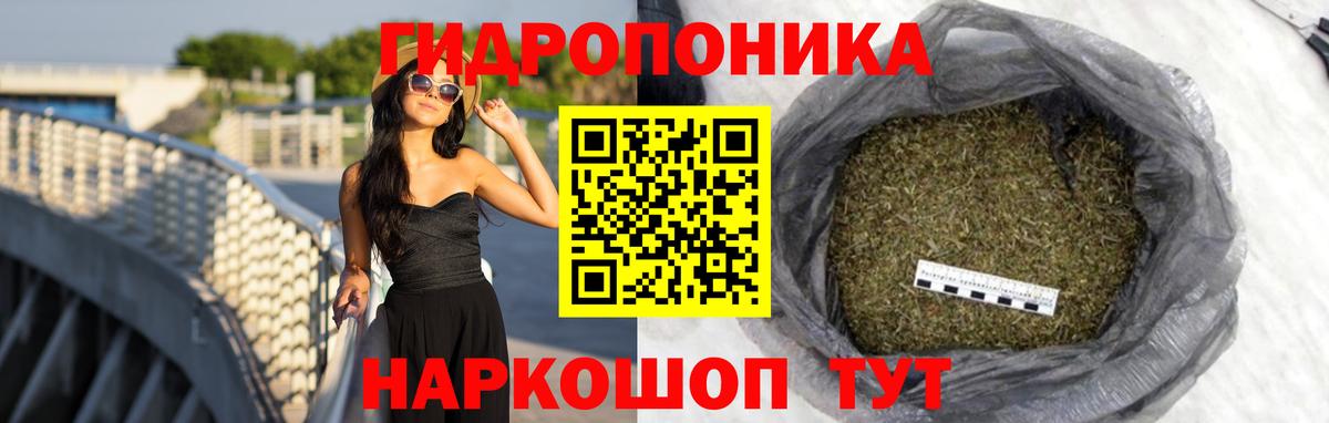 Каннабис Bruce Banner  Бошки Шишки Amnesia  Канабис планчик  Великий Новгород  Вход с VPN 